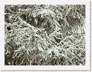 2006-02-04_13-10-17_Janvier_167,0mm_F5,0_1_320_eme_DiMAGE A2 * 3264 x 2448 * (4.03MB)